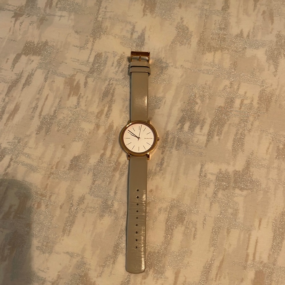 SKAGEN watch rose gold